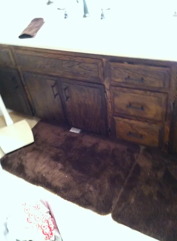sanded and stained wood darker rich color